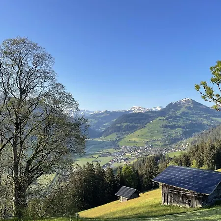 Heimersberg By Interhome Apartament Zweisimmen